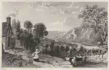 DEVON. Weir Head, of the river Tamar, Devon & Cornwall 1829 old antique print