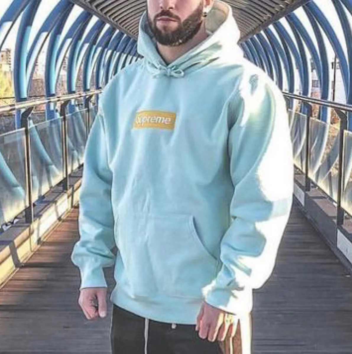 Supreme Box Logo Hooded Sweatshirt (FW17) Ice Blue