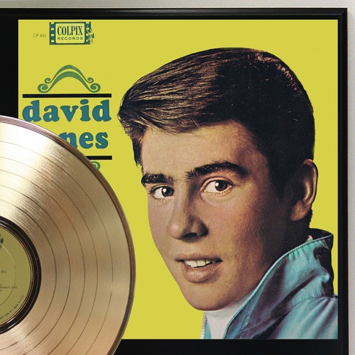 David Jones - Selbsttitel Gold LP Schallplatte Plakette Display - Bild 2 von 3