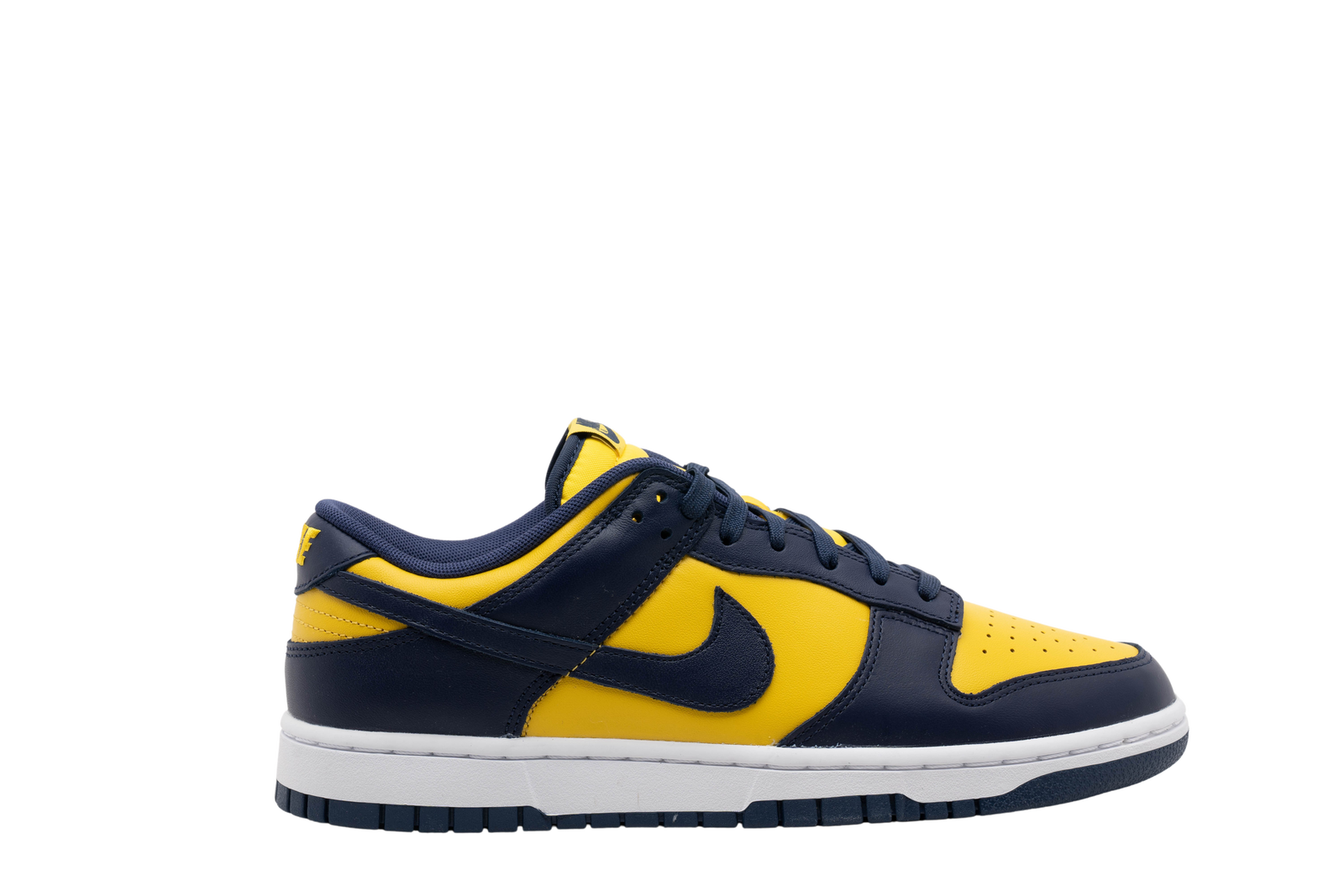 michigan blue dunks