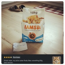IAMS Complete Dry Cat Food for Adult 1+ Cats with Ocean Fish 10 kg 4.40 per kilo