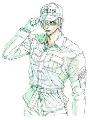 Cells At Work! 6 by Akane Shimizu (English) Paperback Book
