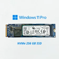 SSD 256GB NVMe Mixed Brand – Win 10 | Win 11 Tested Working SSD