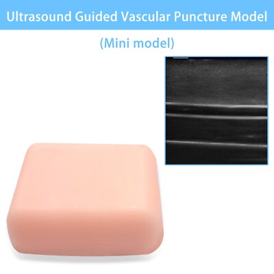 Ultrasound Guided Vascular Puncture Model Nurse Vascular Puncture Skill Practice