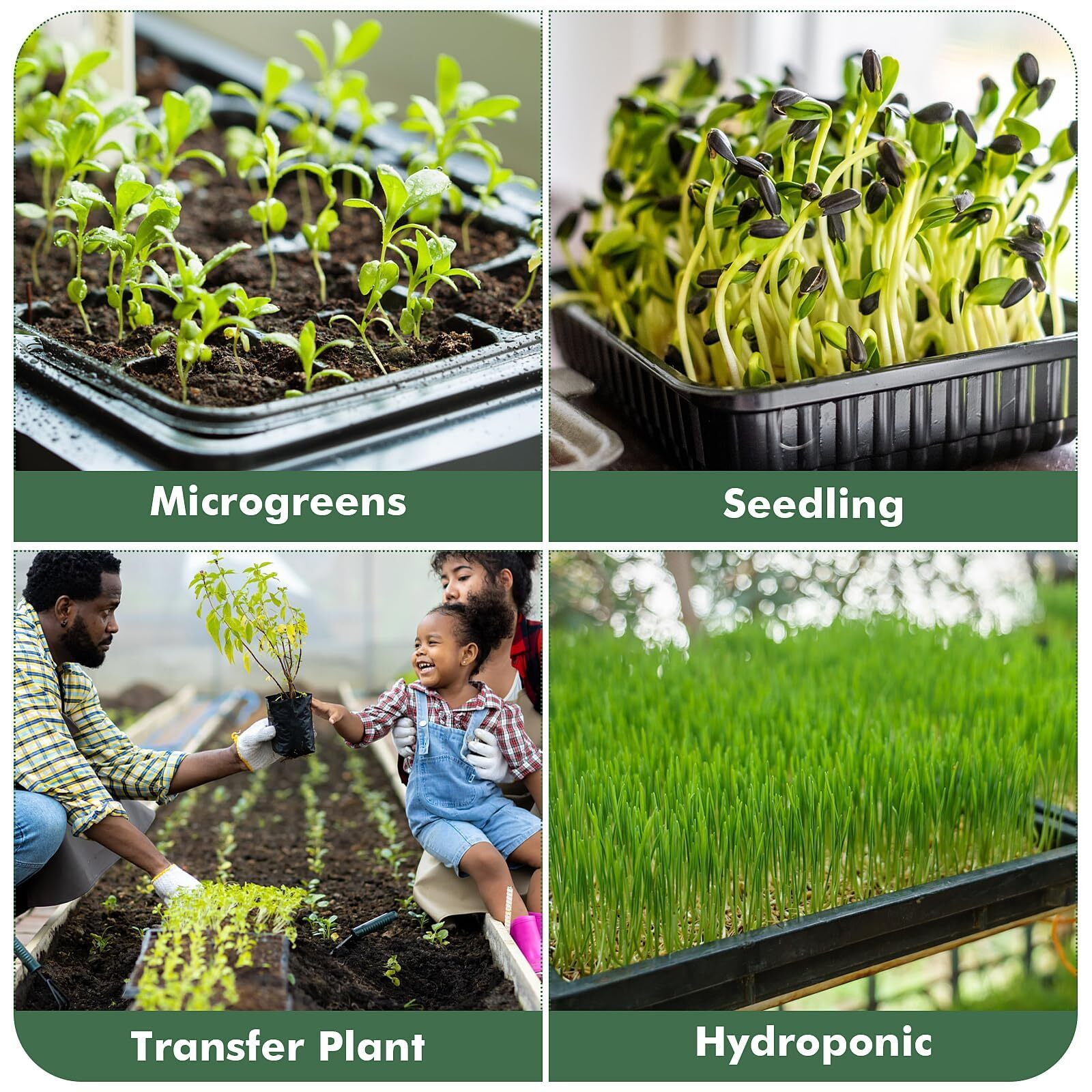 Upgraded 5 Pack 1017 Plant Growing Trays Seed Starting Microgreens Seedling