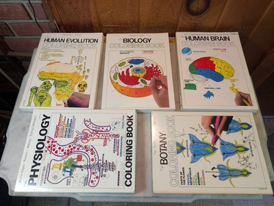 Vintage Barnes & Noble Coloring Book Lot Human Evolution Brain Biology Botany VG