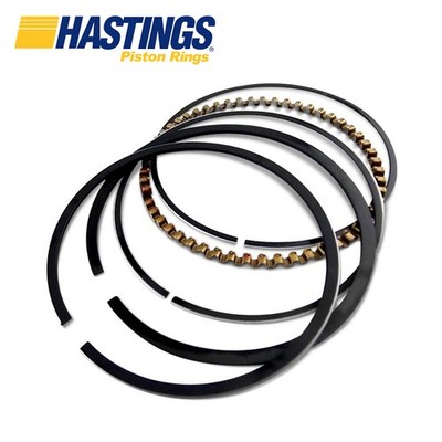 Chrysler Valiant Charger Regal 6 Cylinder 265 Hemi Piston Ring Set 040 1971-1981