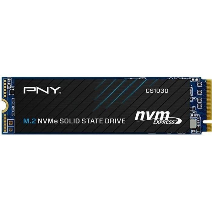 Disque Dur SSD Interne M.2 PNY CS1030 NVMe PCIe 3.0 Stockage 250 Go