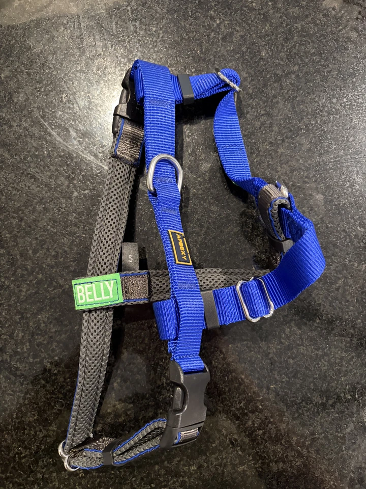 Arnés para perros pequeños APDEXY Freedom No Pull, fácil andador, anti tirones ingenio Foto 4 de 4