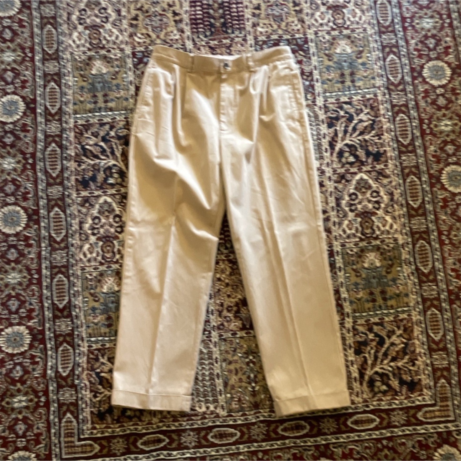 Brooks Brothers Pleated Cotton Dress Pants Beige Straight Leg Men's Size 33