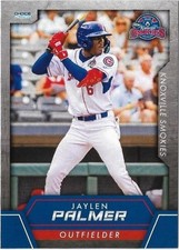 JAYLEN PALMER 2025 Choice Knoxville Smokies #29 Flushing, New York Cubs 🔥