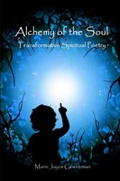 Marni Joyce Gewirtzman | Alchemy Of The Soul | Taschenbuch | Englisch (2009)