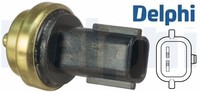 Delphi TS10458 Sensor FüR KüHlmitteltemperatur Sensor KüHlmittelsensor
