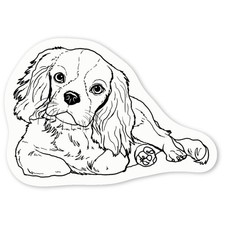Aufkleber Sticker "Cavalier King Charles Spaniel" (DW030981)