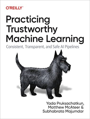 Practicing Trustworthy Machine Learning: Consistent, Tr - Paperback NEW Pruksach
