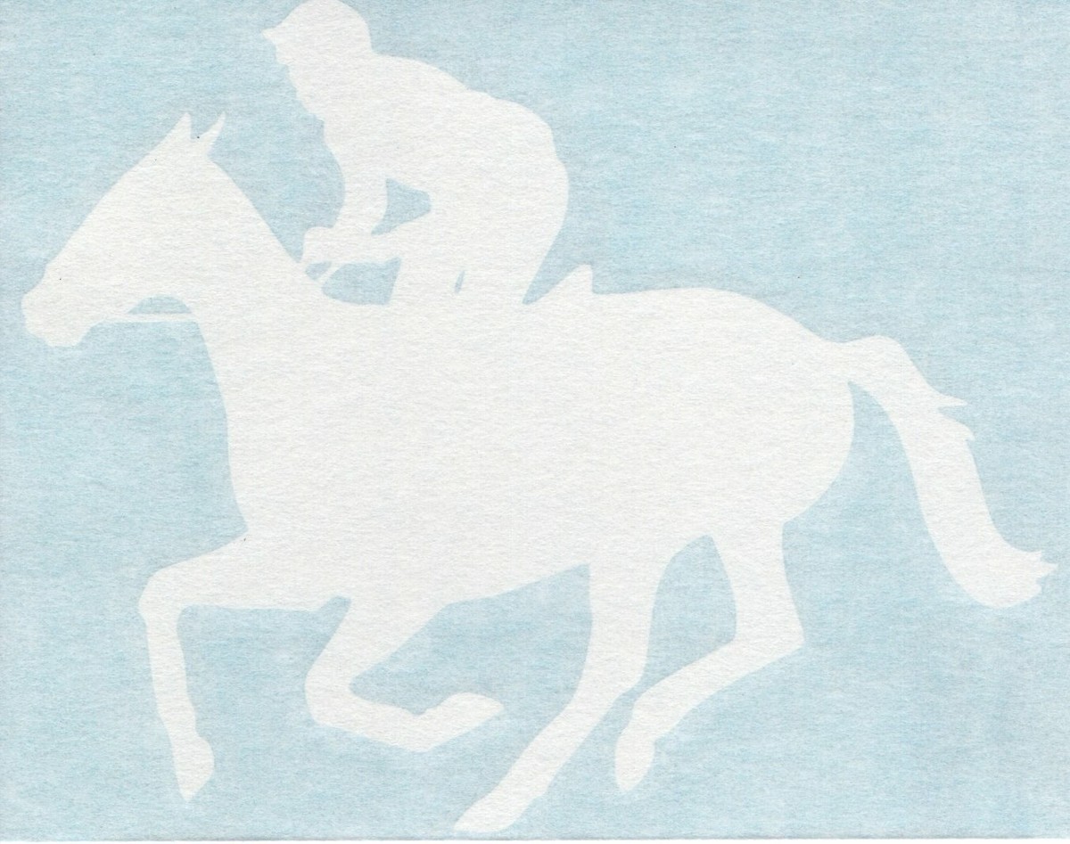 The Leader in Horse Racing Since 1932Jockey Tack | – The Leader in Horse Racing Since 1932 The Leader in Horse Racing Since 1932Jockey Tack | – The Leader in Horse Racing Since 1932