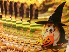 HALLOWEEN GREETING CARDS New w/envelope LOT 7 "THERE'S NO" *BEST DEAL EVER**