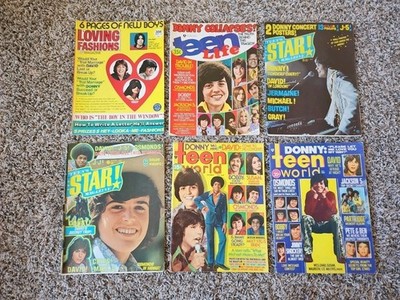 Lot of 6: Donny Osmond Loving Fashions, Teen Life, Star, Teen World Good to Fair