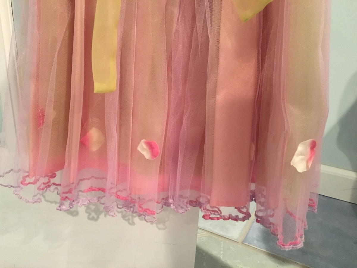 Robe Printemps Fille Janie And Jack Rose Tulle Fleur - état Excellent Pour Occasions Spéciales !