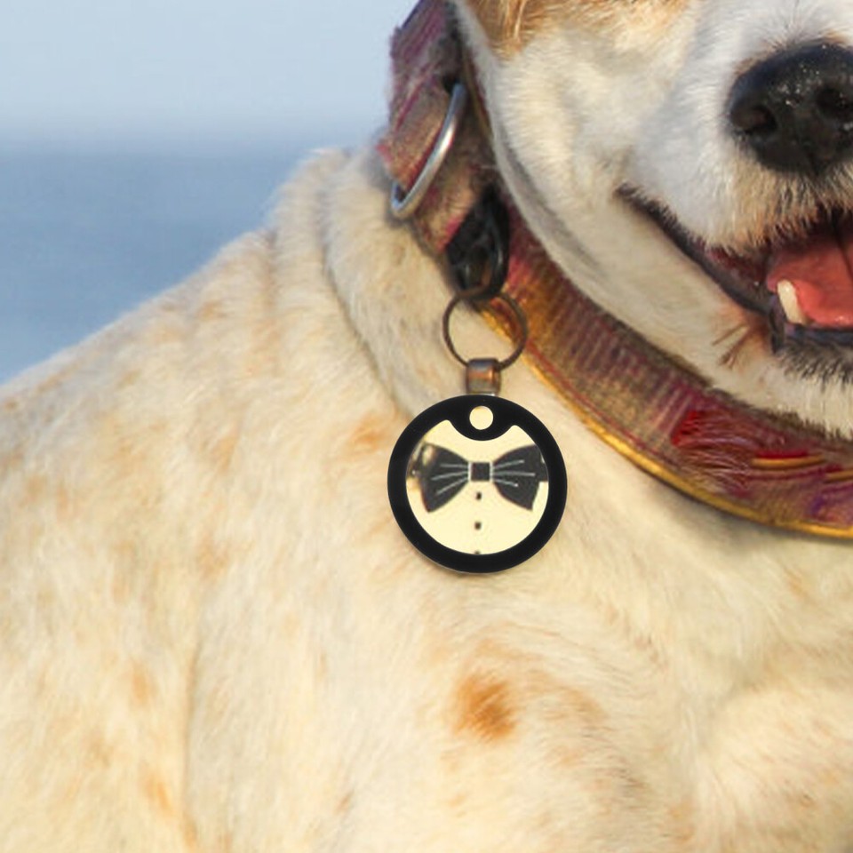 15 Pcs Dog Id Tags Bumpers Silencers Accessories Circle eBay