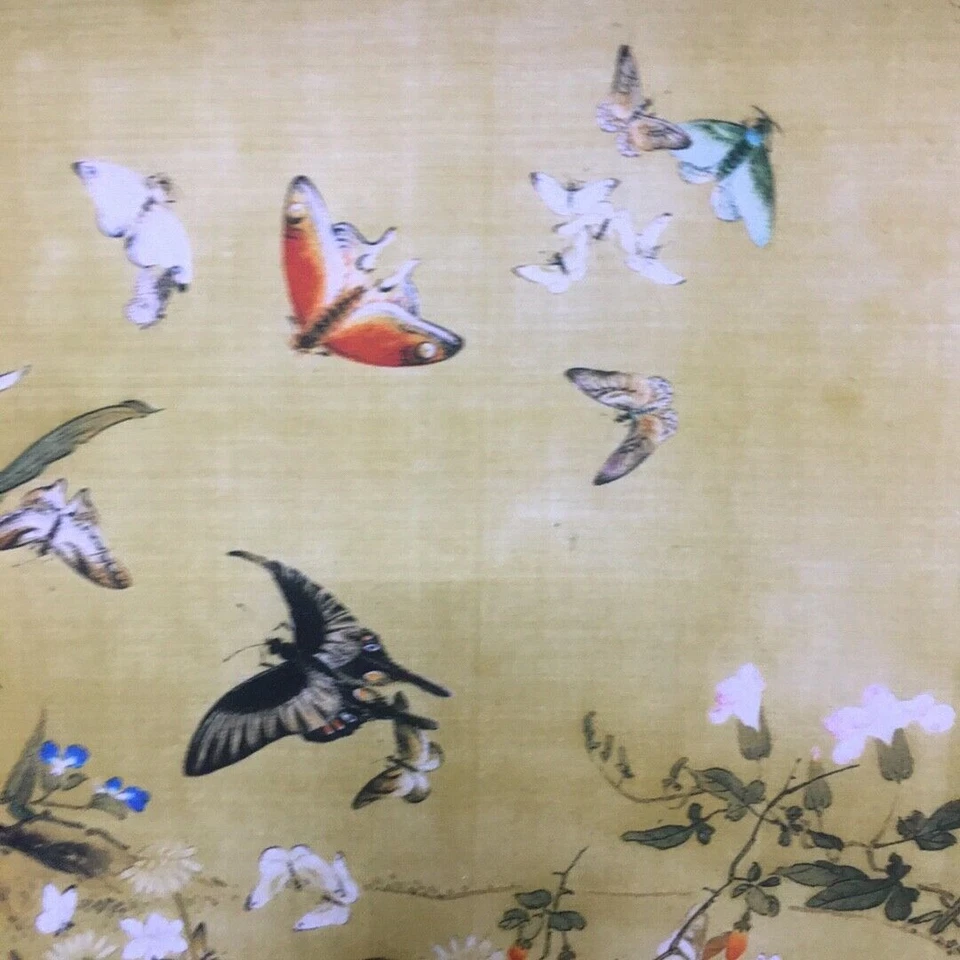 Antigua pintura de pergamino largo diagrama de mariposa imagen china Foto 2 de 4