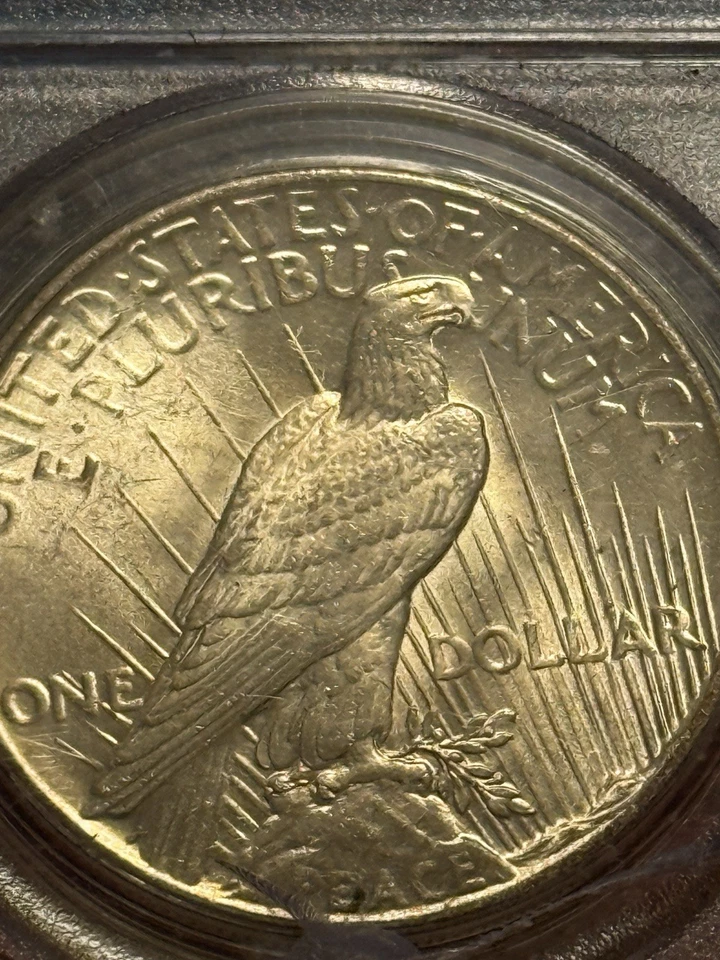 1925 Peace Dollar PCGS MS65 Brilliant Gem Luster Philadelphia Mint - Image 4 of 4