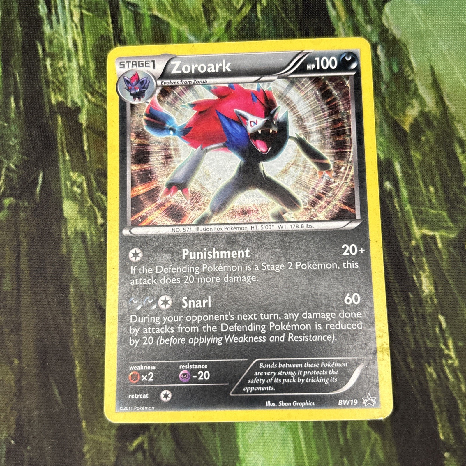 Pokémon TCG Zoroark Black and White Star Promo Set Rare 2011 Cosmos Holo #BW19