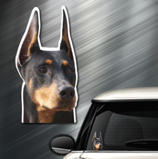  1 Doberman DOG Peeper Sticker Window Peep Decal Car Auto Puppy AKC 3.75"x7.4"