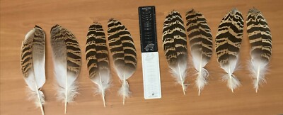4 Mismatch Big Pair Florican bustard feather Classic Salmon Fly Tying Material B
