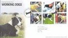 Dogs GB RM FDC Hound Green Basingstoke 2008 (133655)