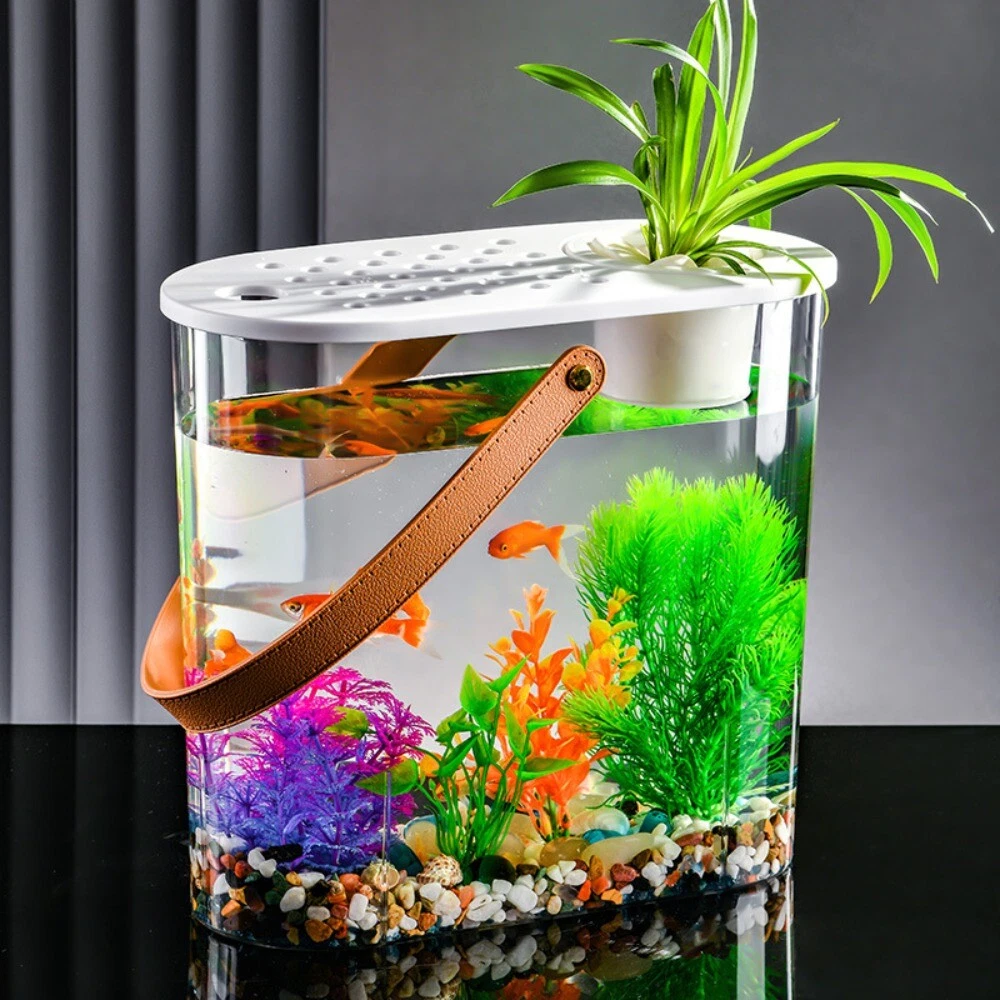 Small cylinder sale aquarium