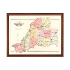 Old Map of Mason County, IL 1891 - Vintage Illinois Art