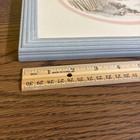 Picture 4 of 7