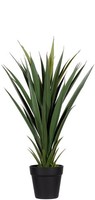 "Paperflow Kunstpflanze \"Yucca\" HöHe: 600 Mm"