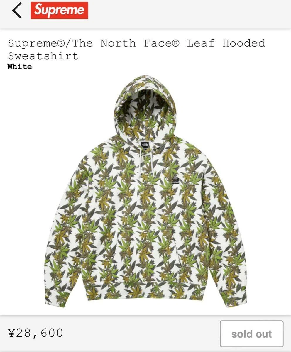 Sweat à capuche Supreme The North Face Leaf L blanc Supreme Hoodie Sweatshi