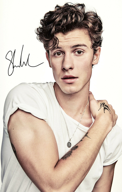 SHAWN MENDES SIGNED AUTOGRAPHED REPRINT 8X10 11X17 13X19 COLOR