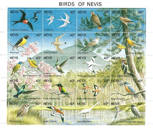 BIRDS Nevis Scott #664 VF Mint Never Hinged Miniature Sheet 1991 Birds.