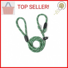 WePet Dog Training Slip Leash, No Pull, Durable Reflective Lead, Puppy Heavy Dut