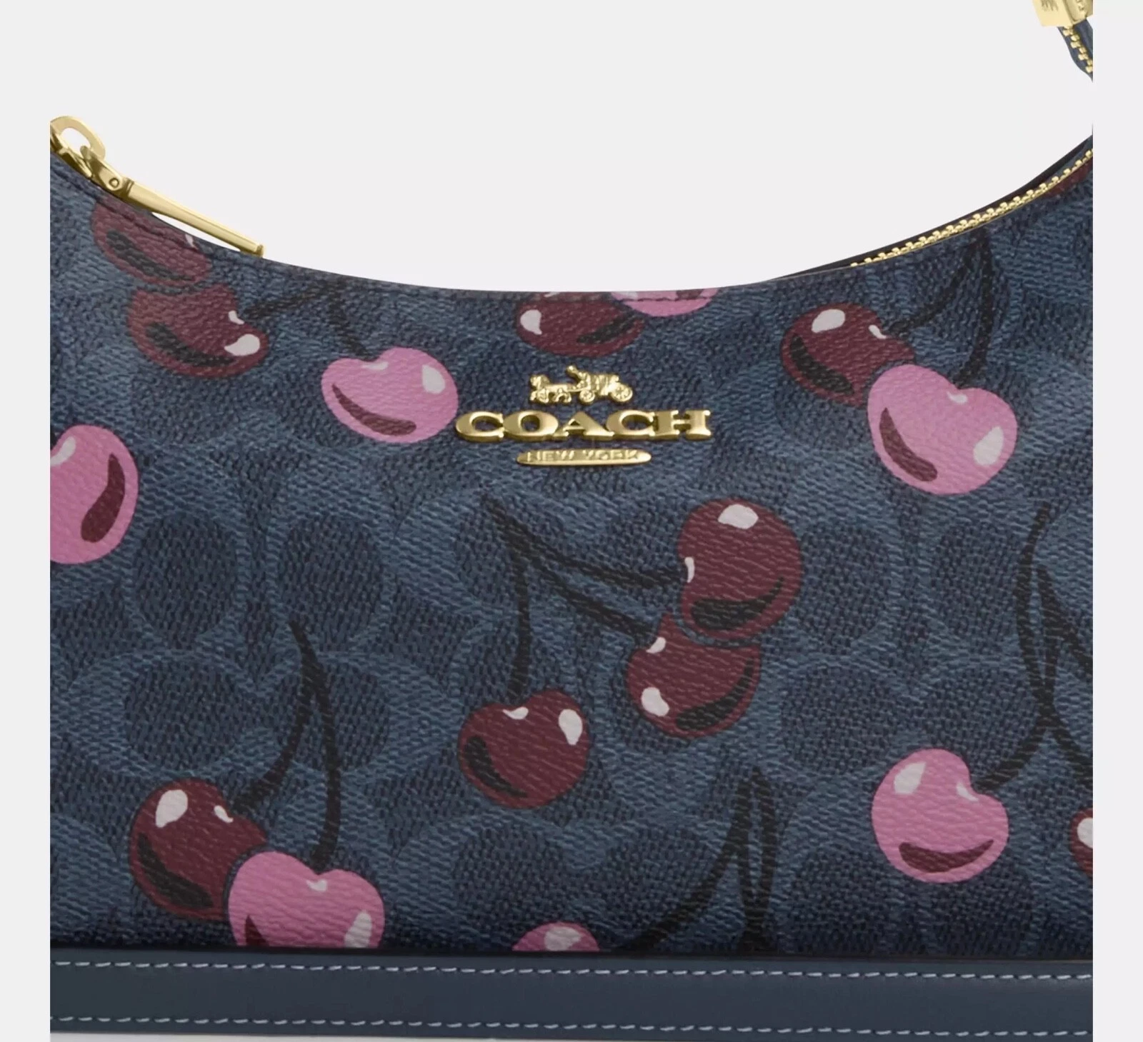 Borsa a tracolla COACH donna Teri