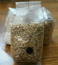 Four 2.5LB Sterilized Rye Berry Spawn Mushroom Grow Bags With Injection Port