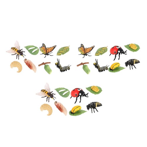 Animal Life Science Education Kits Teaching Props for Daycare Birthday