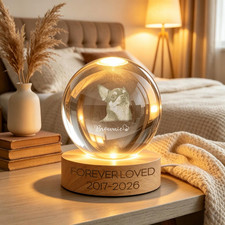 Custom Pet Memorial Crystal Ball Light Dog Photo Engraved Night Lamp Gift