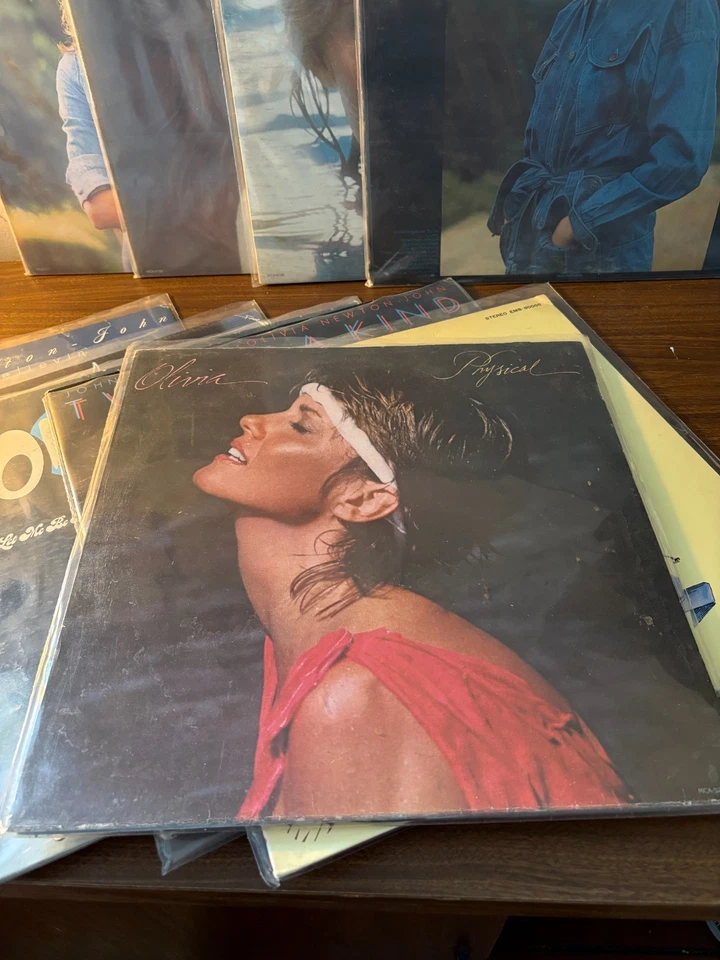 LOTE DE ÁLBUNS DE VINIL OLIVIA NEWTON-JOHN (10) - PERFEITO PARA UMA COLEÇÃO CRESCENTE DE DISCOS - Imagem 2 de 4