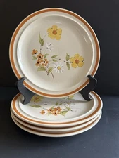 Stonecrest 70’s Dinner Plates Andre Ponche Collection 206 Pamela Boho Set 4