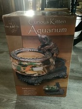 Aquarium chaton curieux