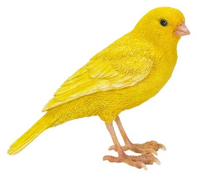Vivid Arts Pet Pal Kanarienvogel