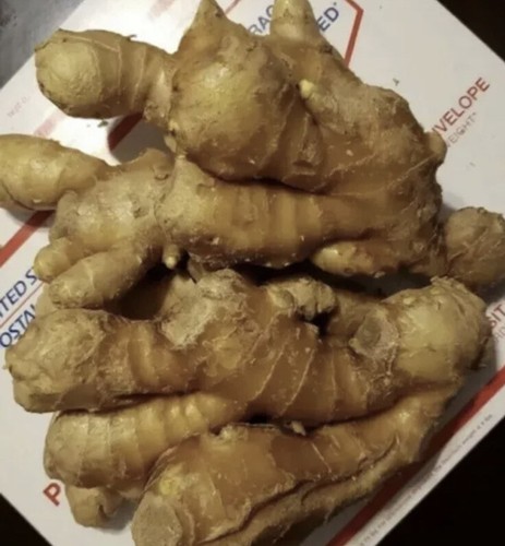 Ginger Root: Fresh, Whole, Raw,  Fresh, -3.0 Lbs - Picture 2 of 6