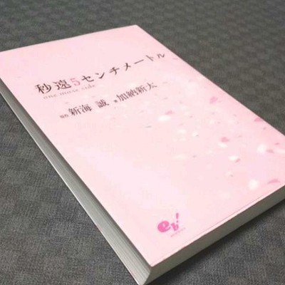 Novel 5 Centimeters Per Second Byousuku 5 Centimeter One More Side Ebay