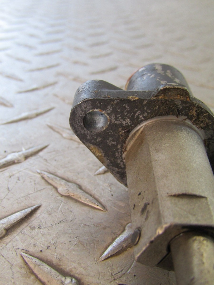 きんちゃです。 s-l1200.jpg