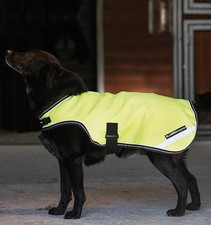 Rambo Reflective Dog Blanket